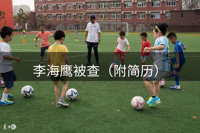 李海鹰被查（附简历）